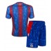 Camisa de time de futebol Crystal Palace Replicas 1º Equipamento Infantil 2024-25 Manga Curta (+ Calças curtas)